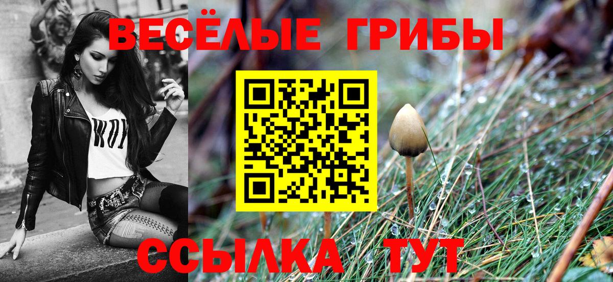 Сегежа  где можно купить   Вход с VPN  Псилоцибиновые грибы Psilocybine cubensis 