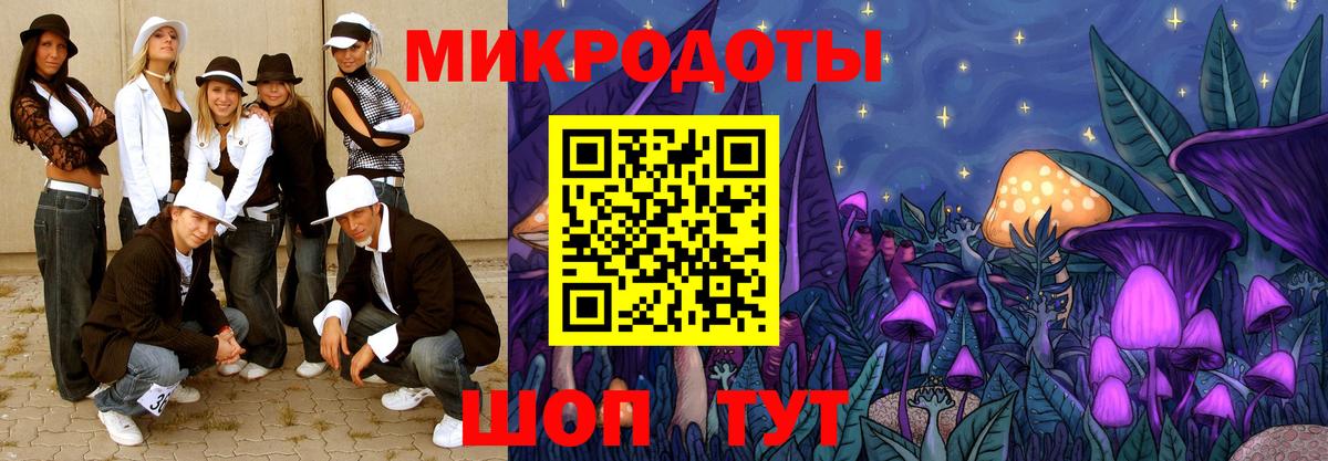 Псилоцибиновые грибы Psilocybe Сегежа